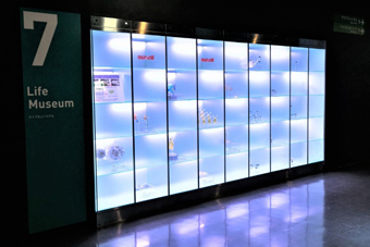 ���C�t�~���[�W�A��