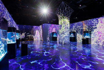 マジカルグラウンド