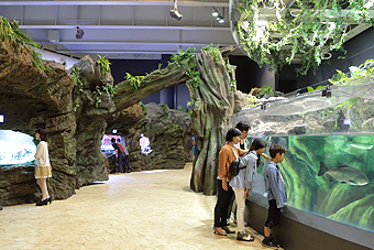 アクアジャングル