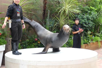 フレンドリースクエア