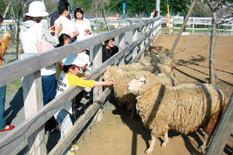 �ӂꂠ���q��