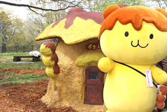 �|�e���܂���̉�