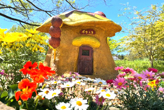 �|�e���܂���̉�