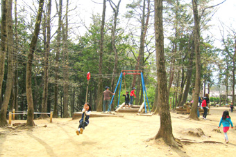 ���ς��L��