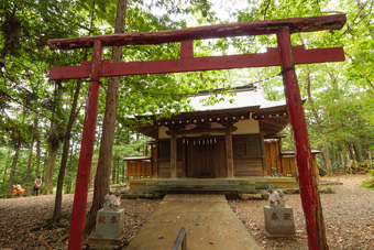 ���t��א_��