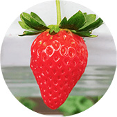 �����ق̂�