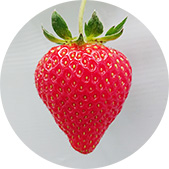 ����C�x���[