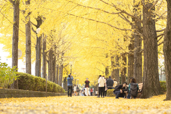 �C�`���E����