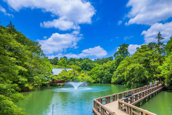 ��̓�����