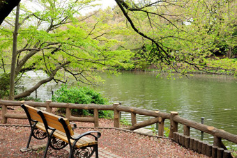 ��̓�����