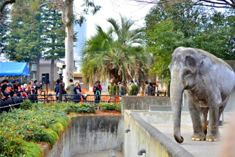 ��̓����R������