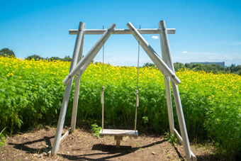 �H�̃t�H�g�X�|�b�g