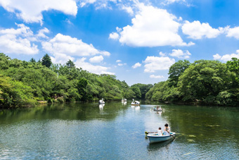 ��̓�����