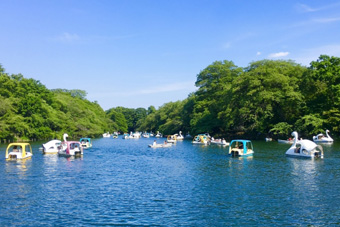 ��̓��r�{�[�g�̂��