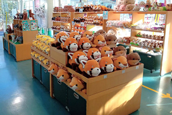 �A�N�A�e���X�M�t�g�V���b�v