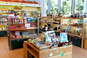 �I�[�W�[�q���M�t�g�V���b�v