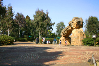 オセアニアの草原