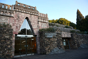 アマゾンの密林