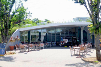 サバンナテラス